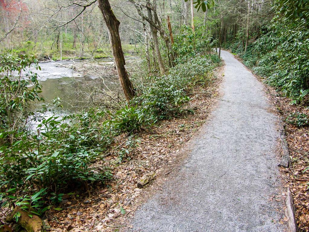 2012 03 25 pisgah davidson river estatoe trail beside davidson river-explore-brevard