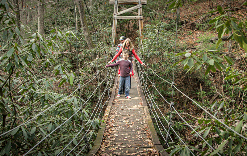 Moore Cove Falls, Pisgah National Forest