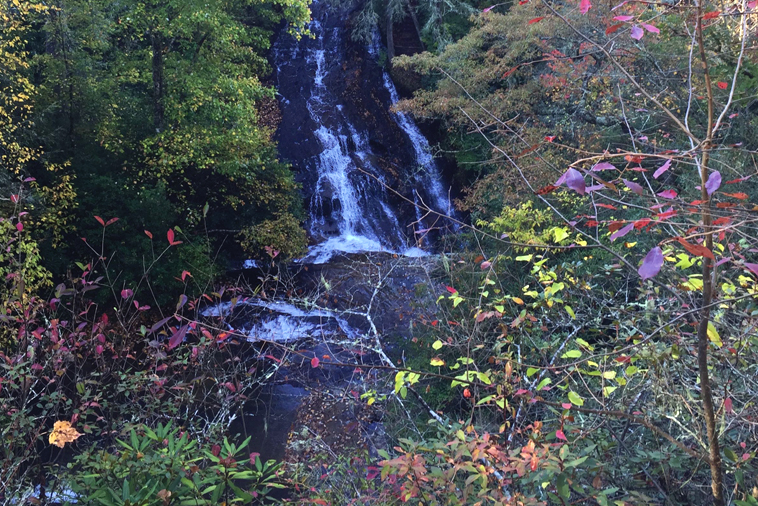 Moore Cove Falls, Pisgah National Forest