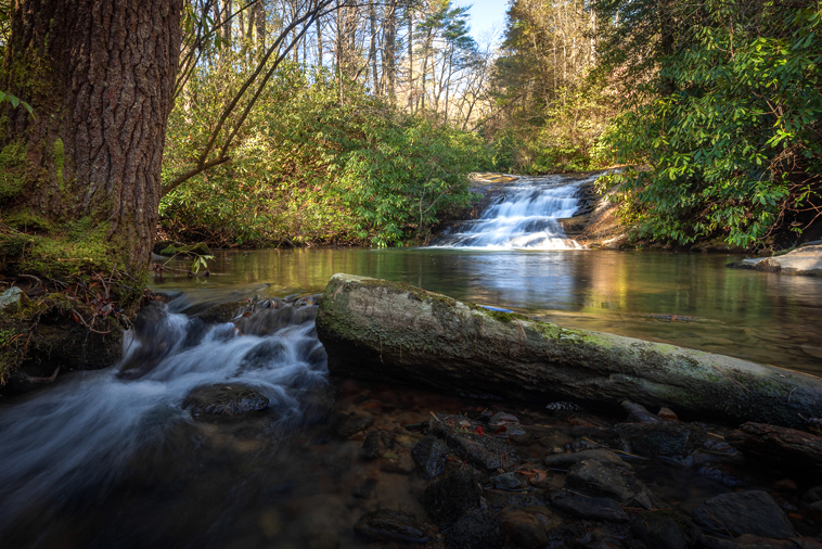 Moore Cove Falls, Pisgah National Forest