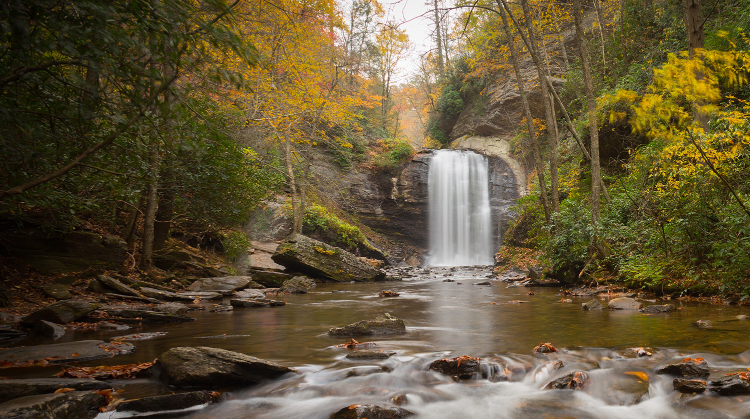 Fall Hikes in Brevard, NC