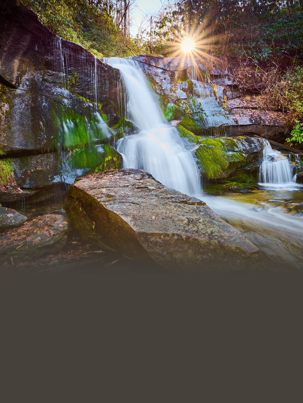 CedarRock F-explore-brevard