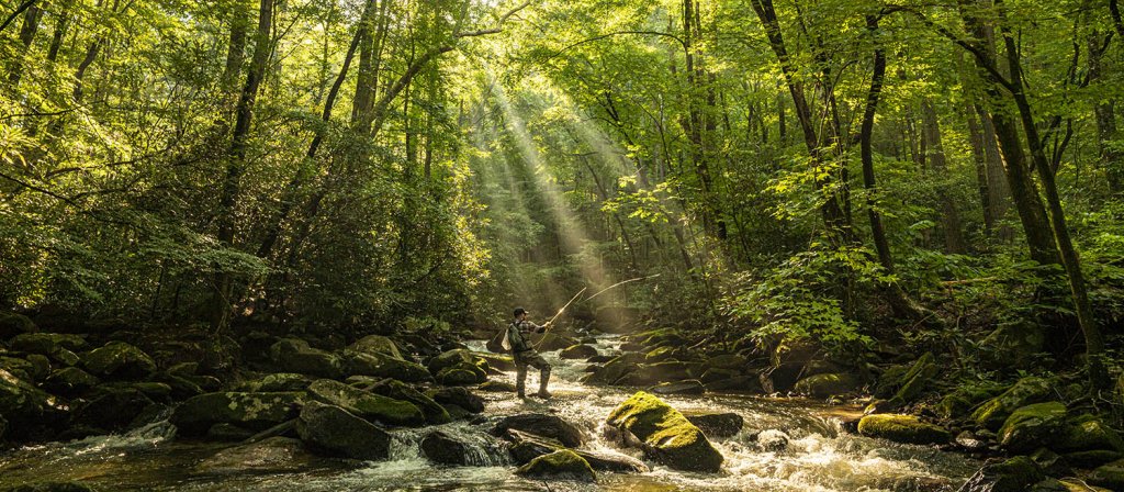 Explore Responsibly in Brevard