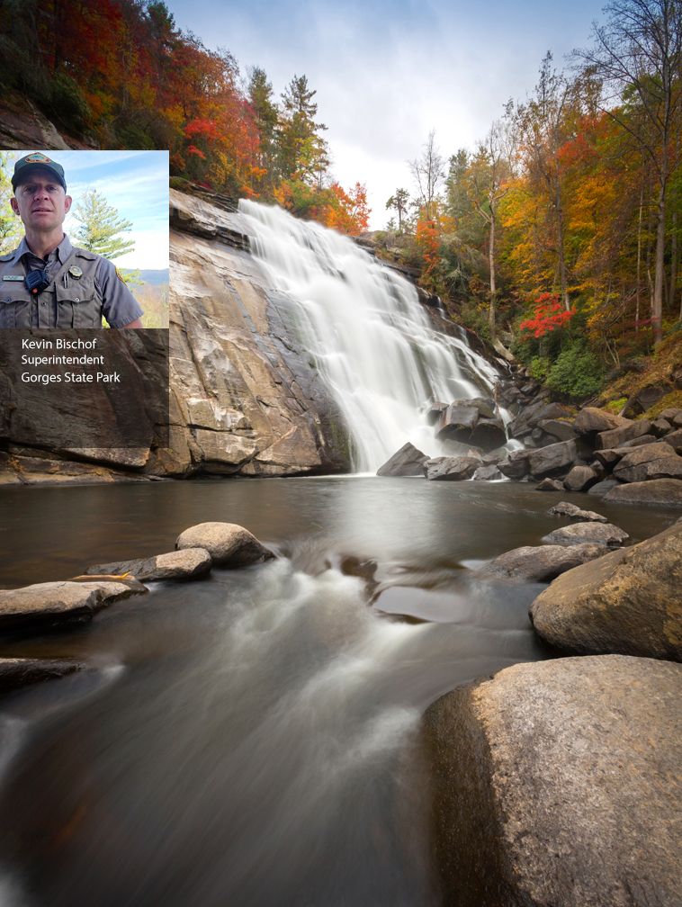 Moore Cove Falls, Pisgah National Forest