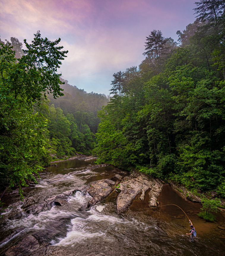 Moore Cove Falls, Pisgah National Forest