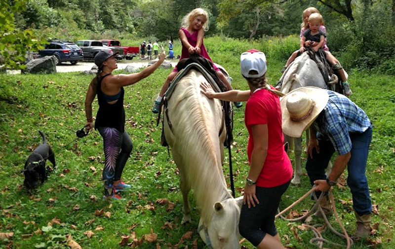 Horse5-explore-brevard