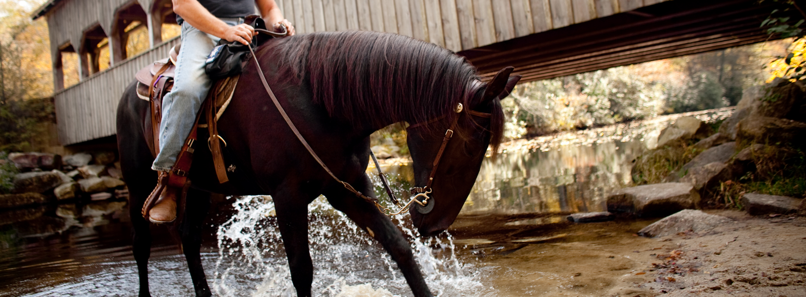 HorsebackDupont1-explore-brevard