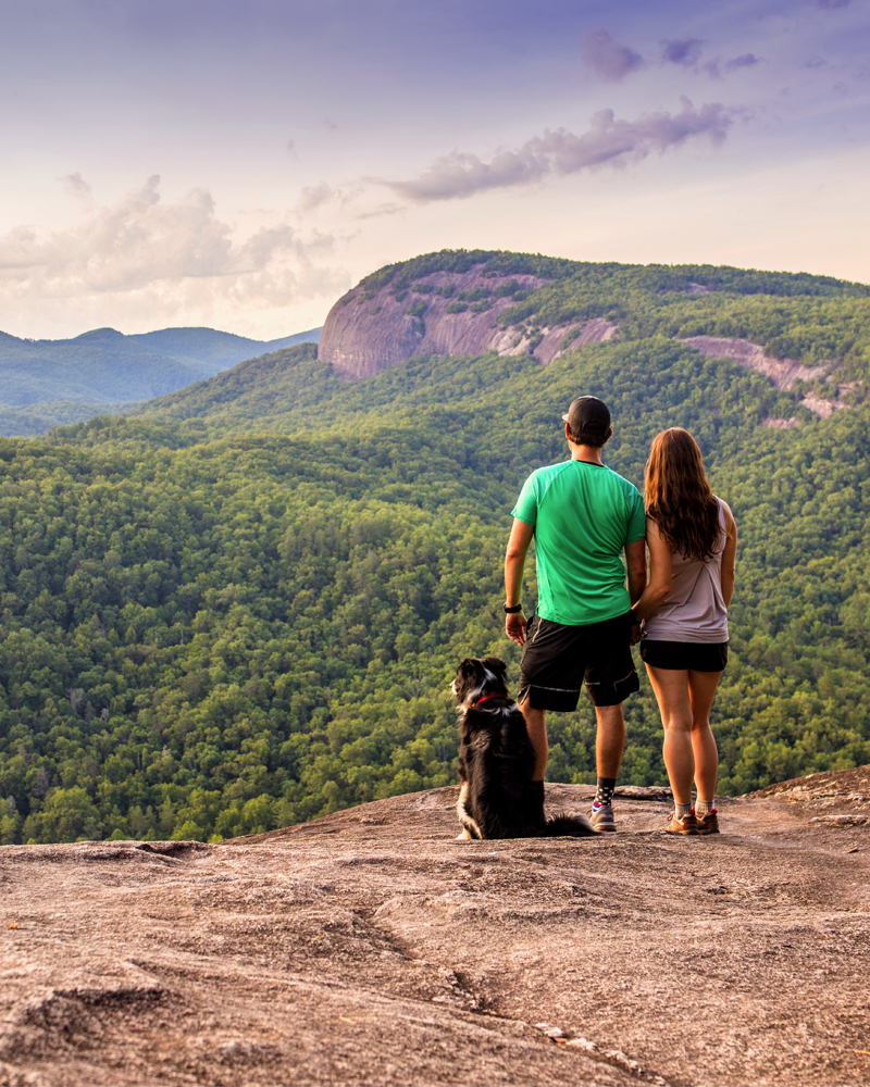 Moore Cove Falls, Pisgah National Forest