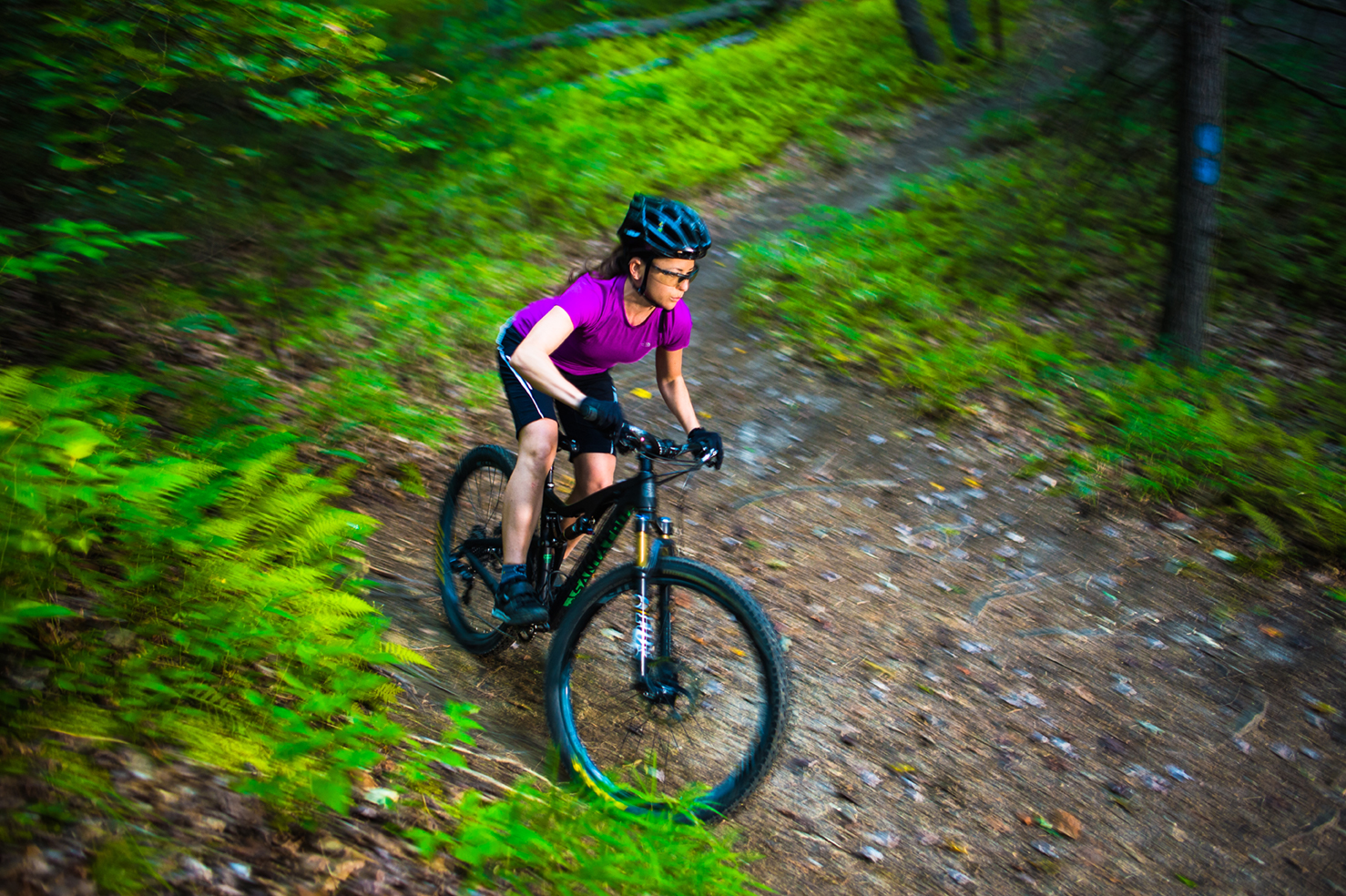 Mt Bike Pisgah NF PUP-explore-brevard