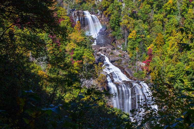 Moore Cove Falls, Pisgah National Forest