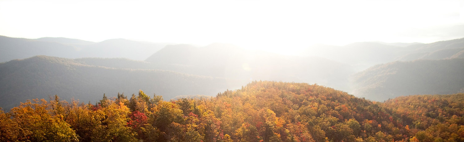 fall background-explore-brevard