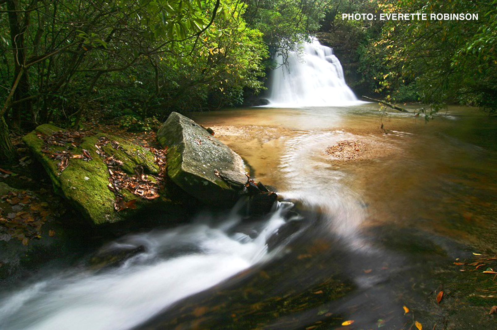 Moore Cove Falls, Pisgah National Forest