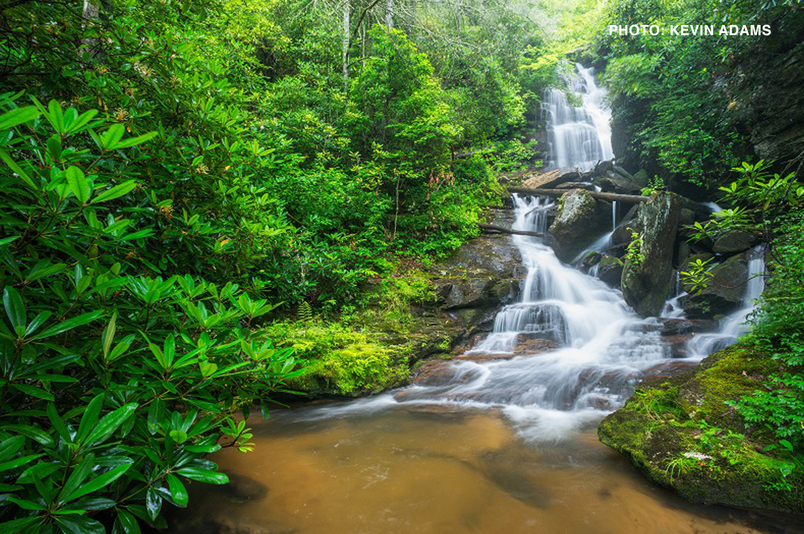 Moore Cove Falls, Pisgah National Forest