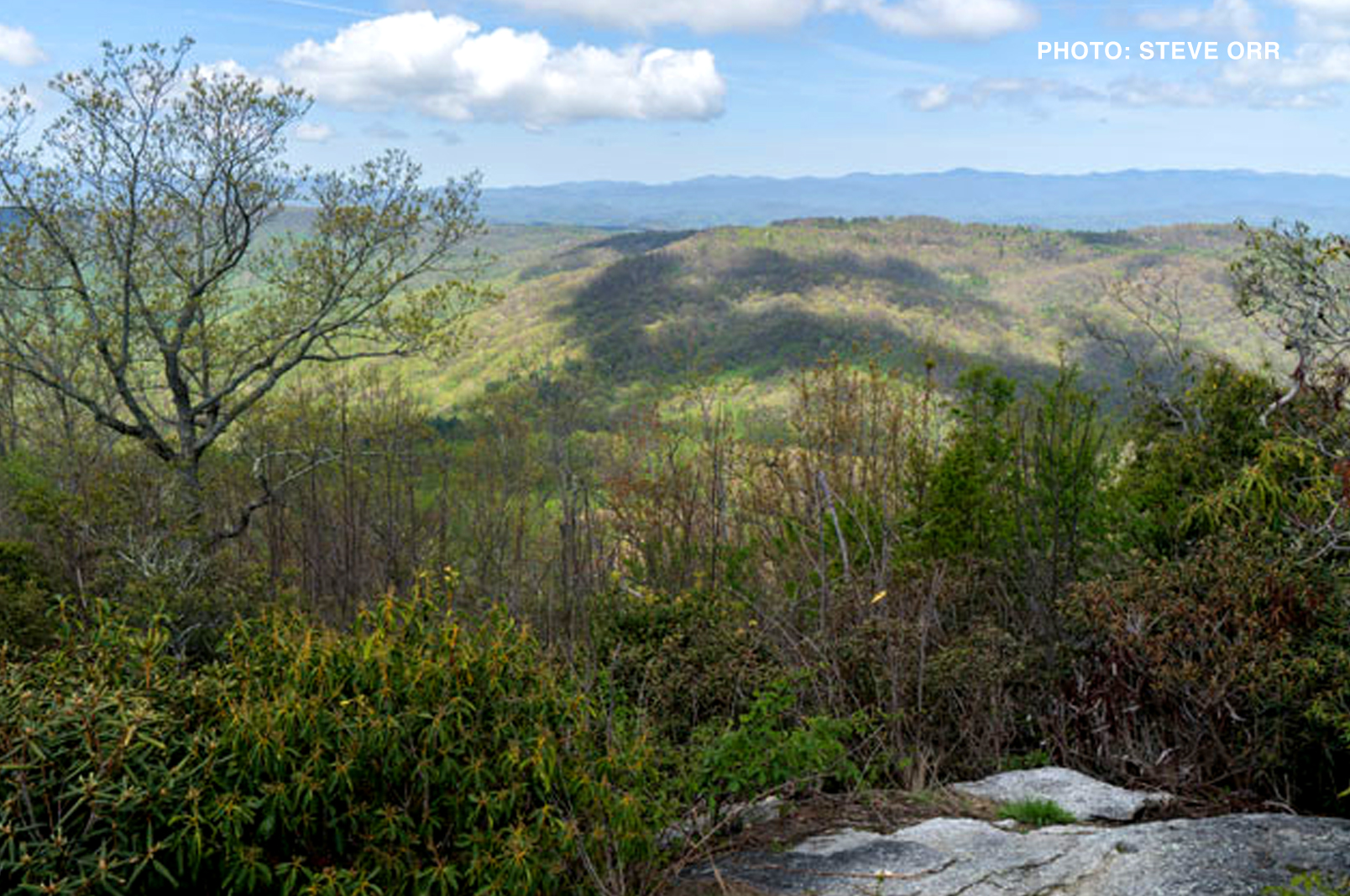 Moore Cove Falls, Pisgah National Forest