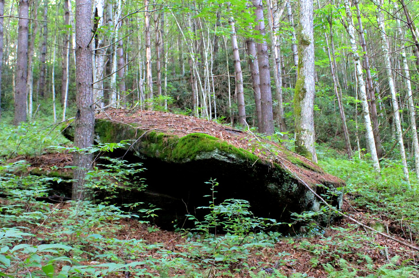 Moore Cove Falls, Pisgah National Forest