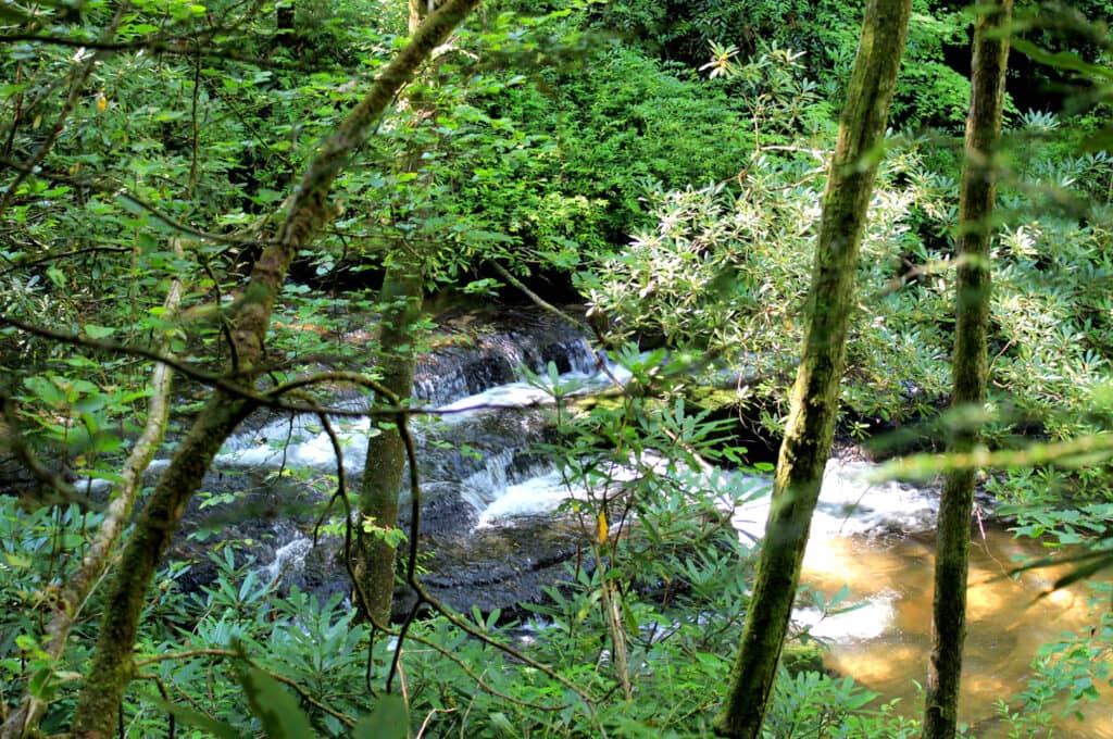 Moore Cove Falls, Pisgah National Forest