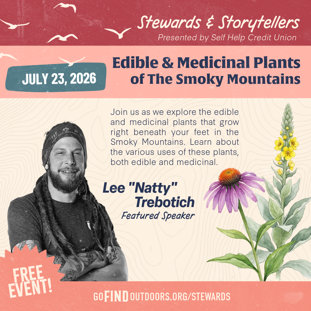 Stewards and Storytellers: Edible & Medicinal Plants of The Smokey Mountains