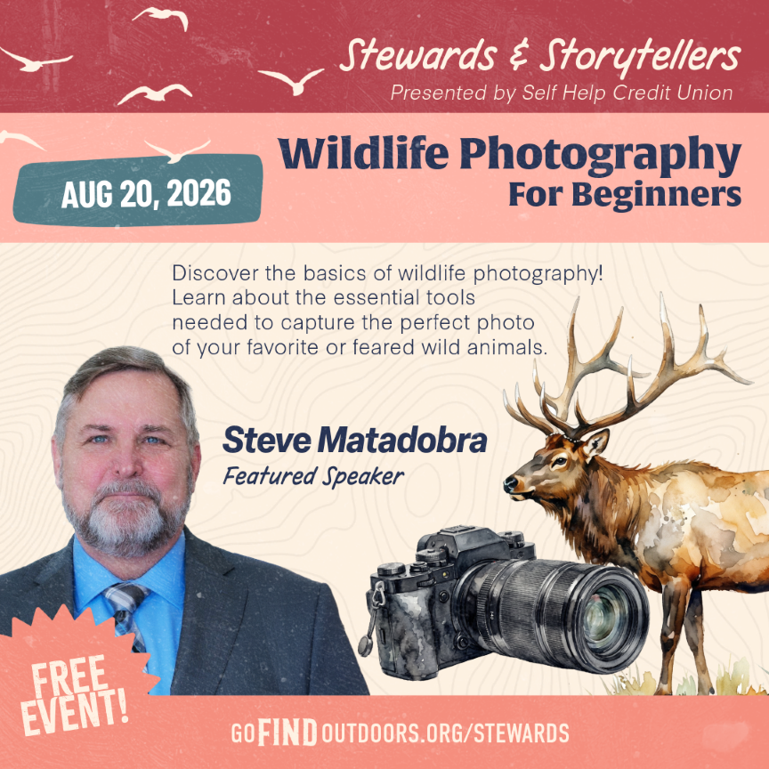 Stewards and Storytellers: Wildlife Photography For Beginners