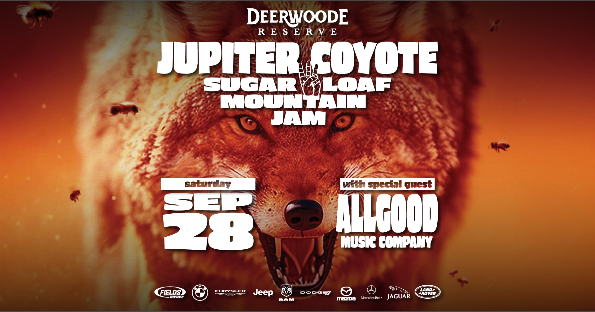 Jupiter Coyote ~ Sugarloaf Mountain Jam 3