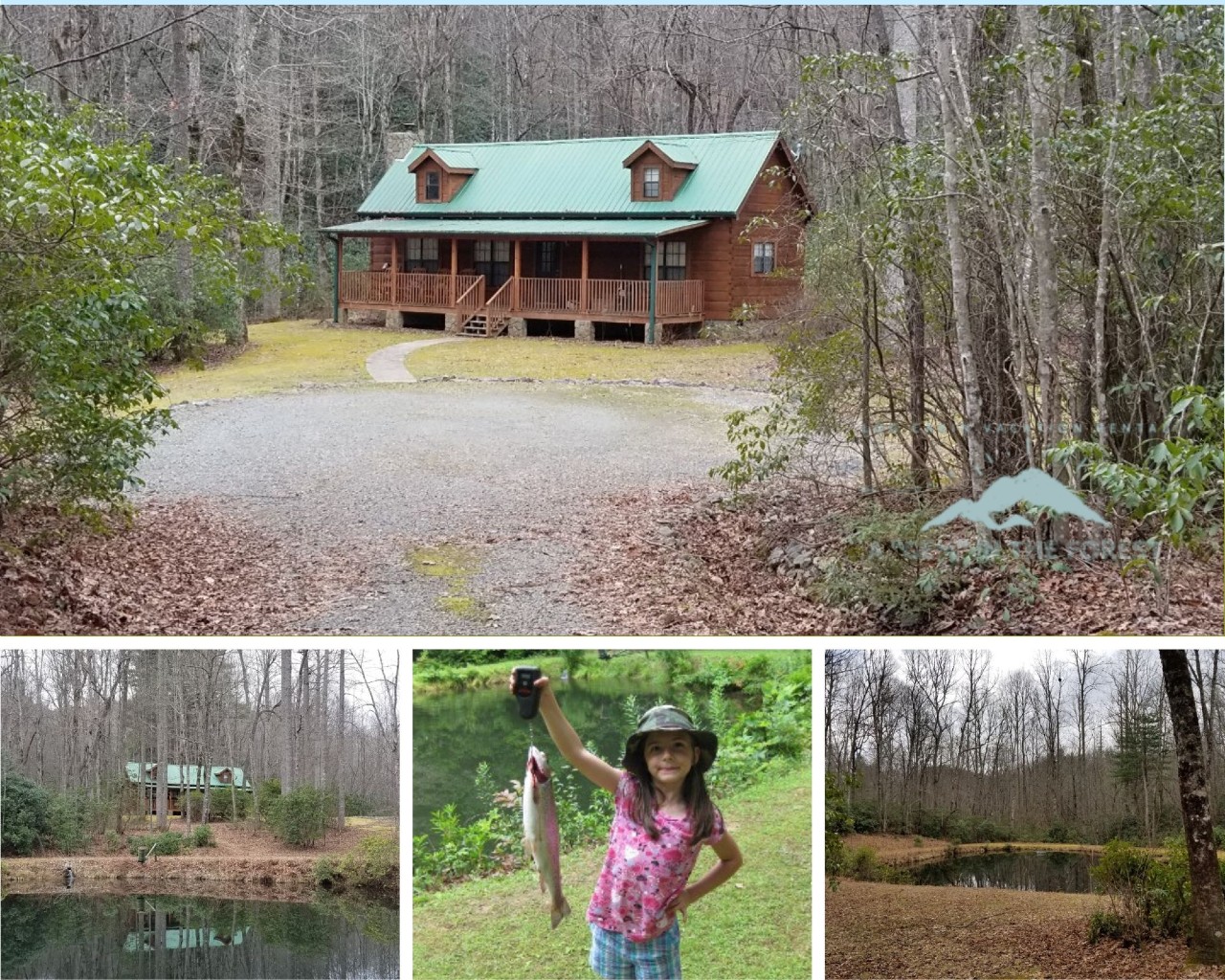 A “GEM” in the Forest Vacation Rental