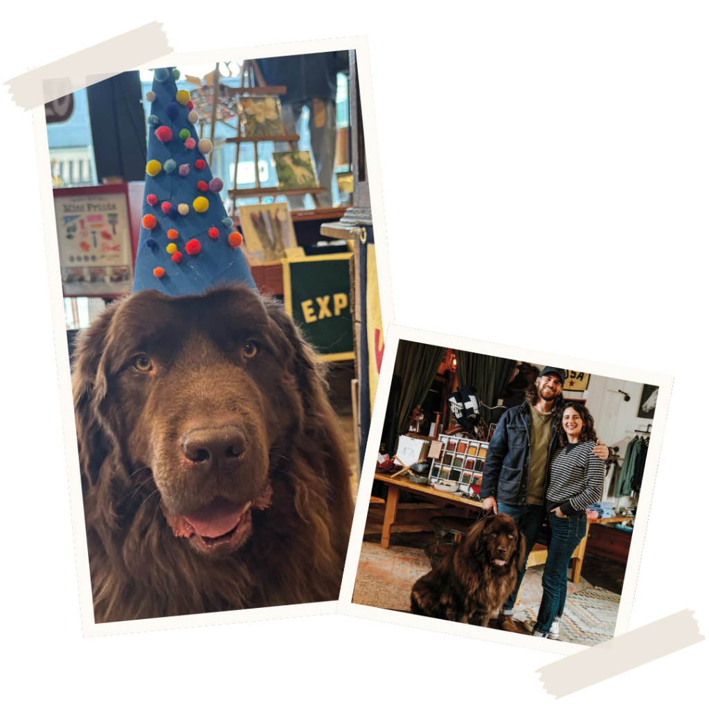 Newfound Artisan's shop dog Victor on duty in Downtown Brevard to greet customers