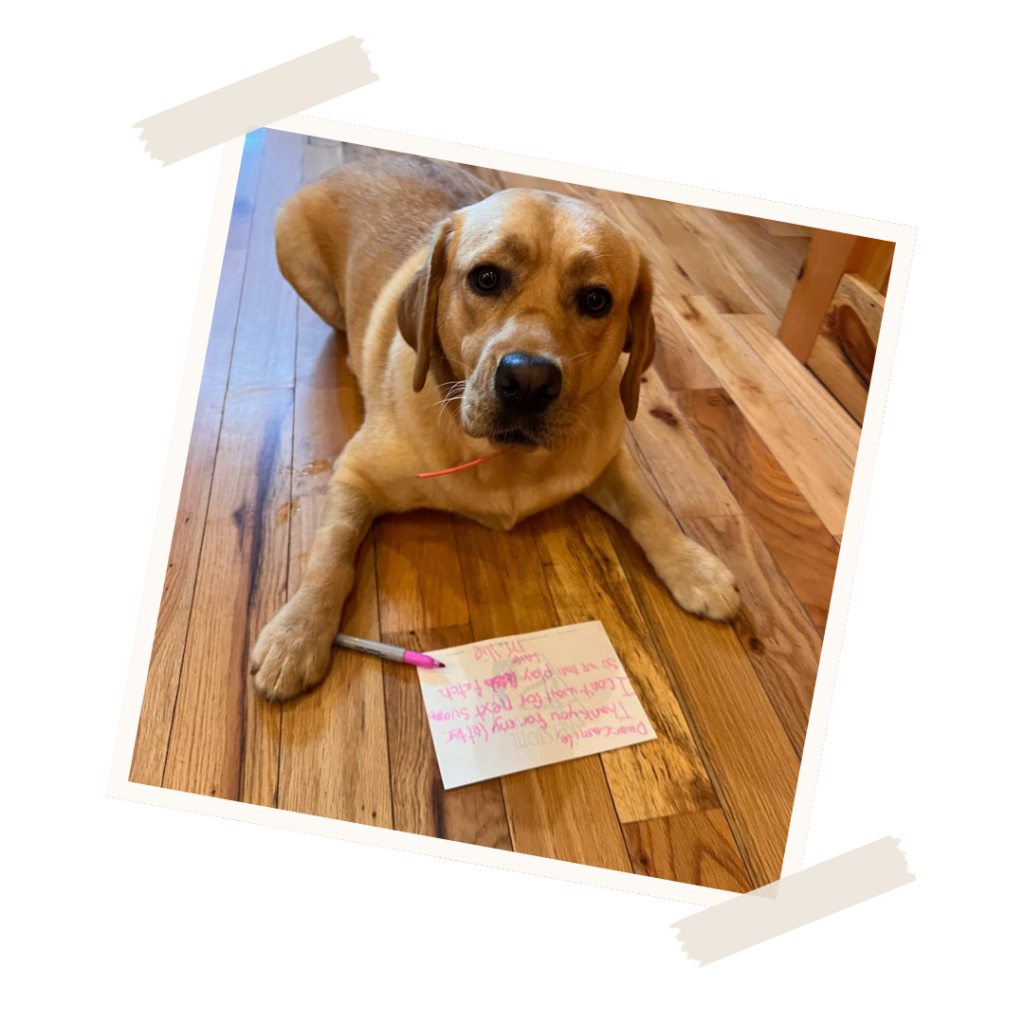 Millie, Keystone Camp's shop dog writing a letter to her pen pal from camp