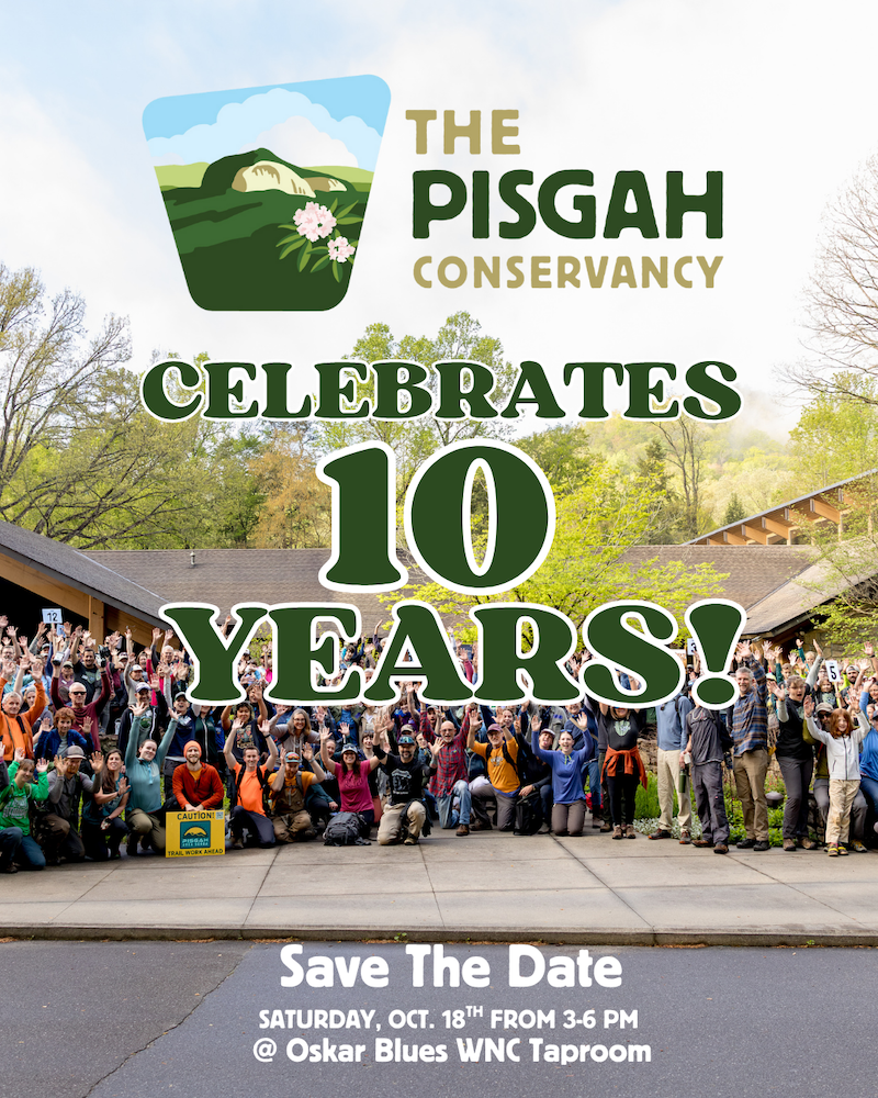 Anniversary Celebrationv1 1 copy-explore-brevard