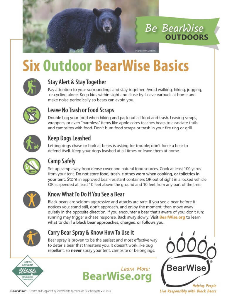 BearWise Outdoor Basics FLIER NorthCarolinaFeb2020-explore-brevard