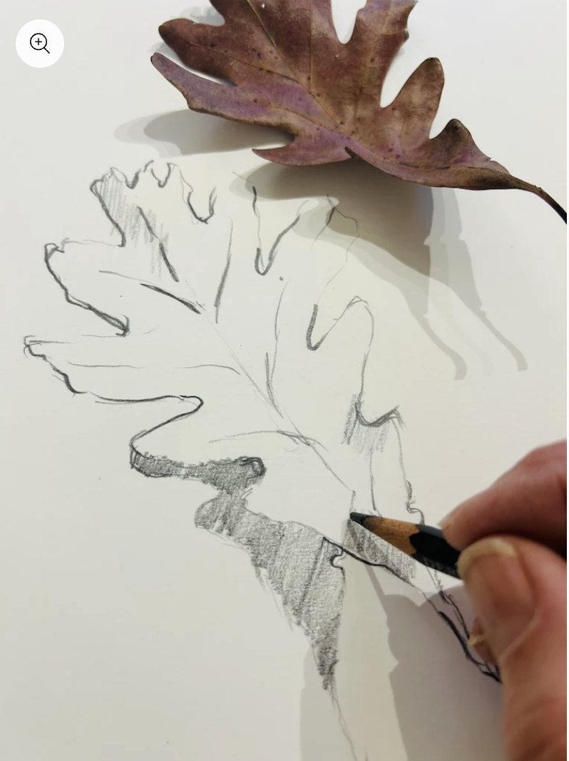 Beginning drawing workshopwith BF-explore-brevard