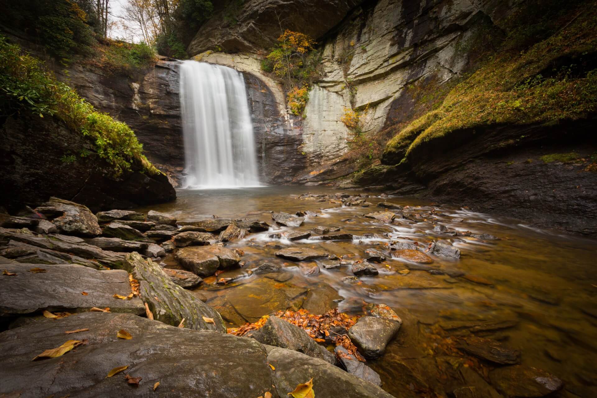 Looking Glass Falls