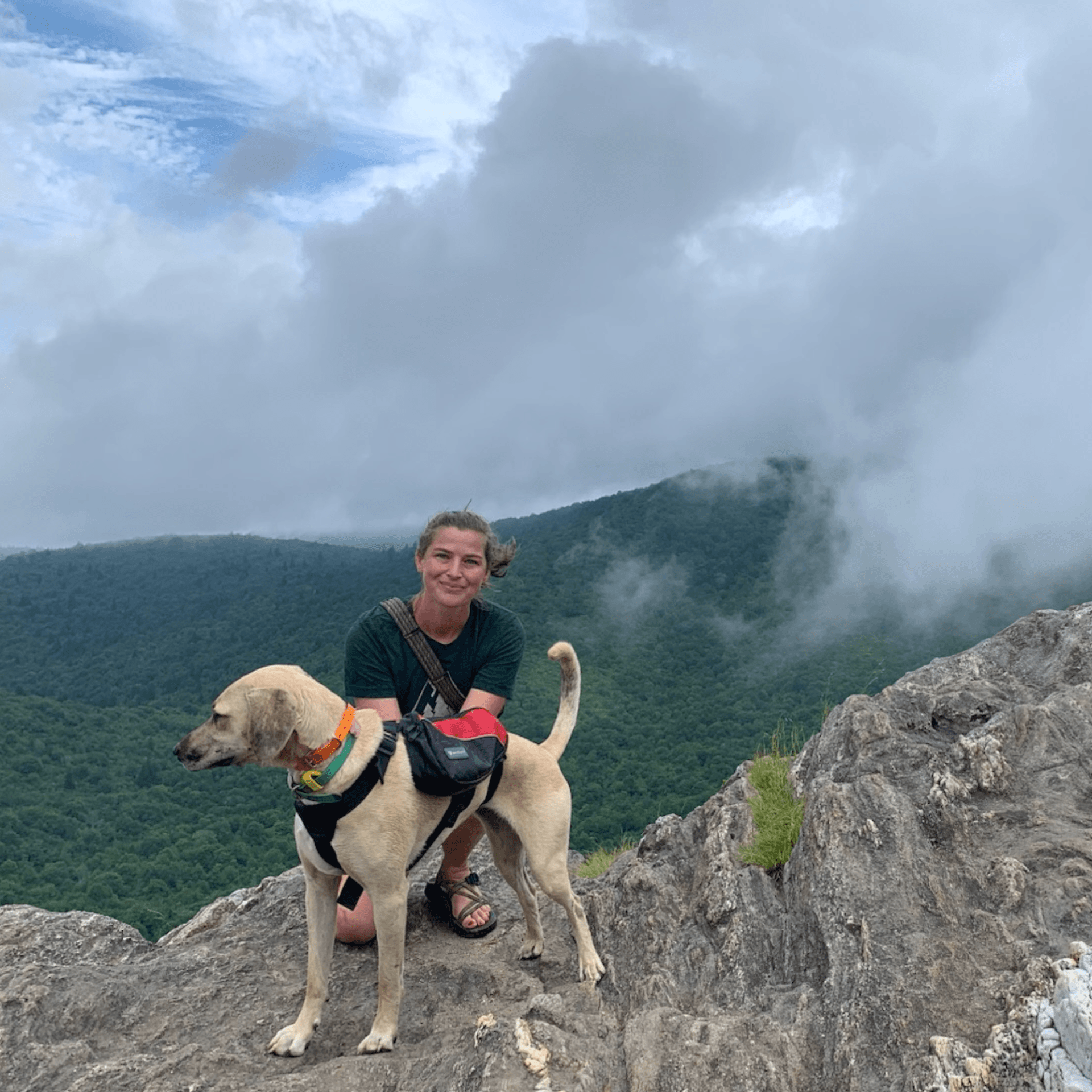 Woman and her dog at a mountain overlook.