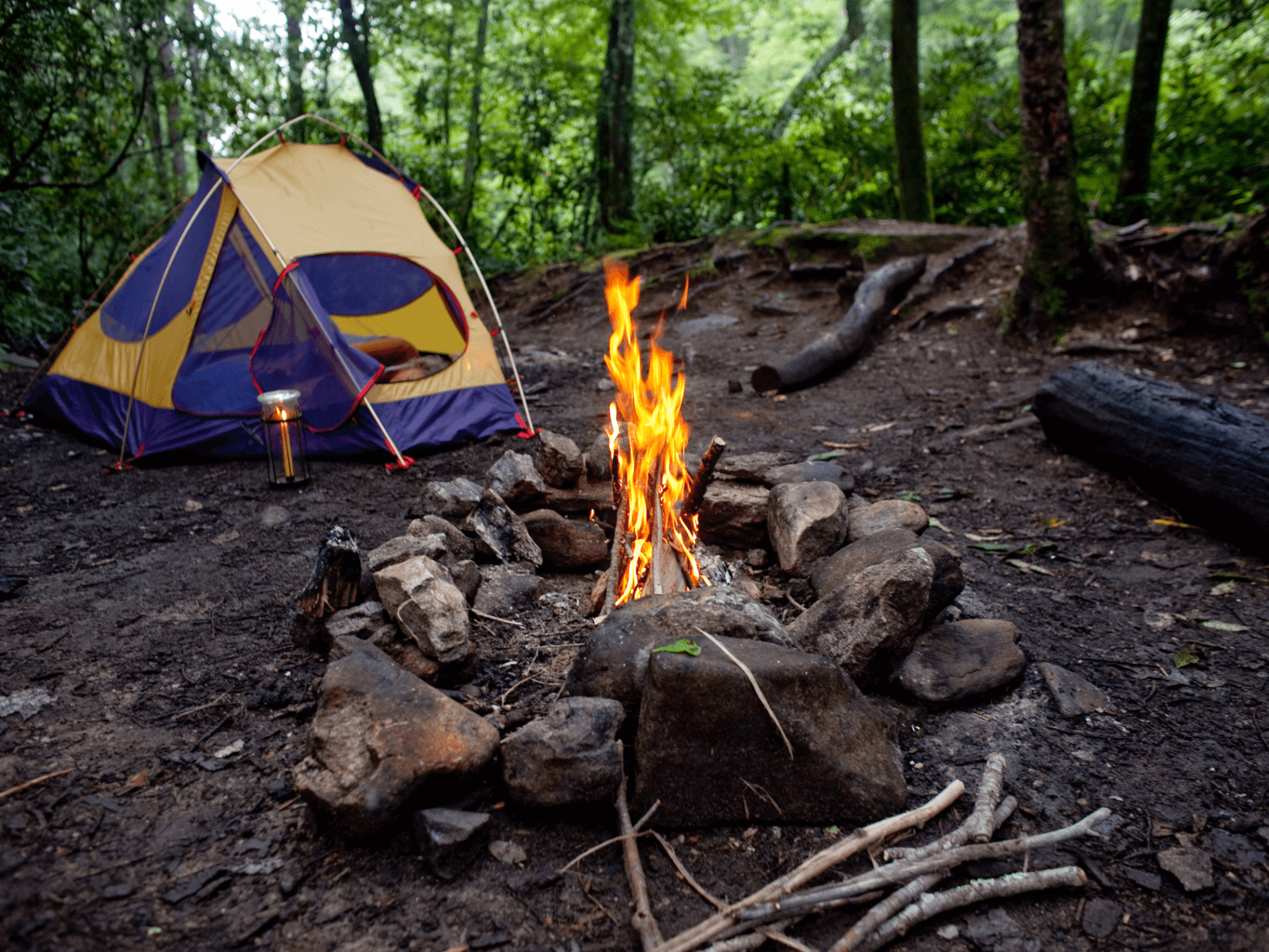 Camping-explore-brevard