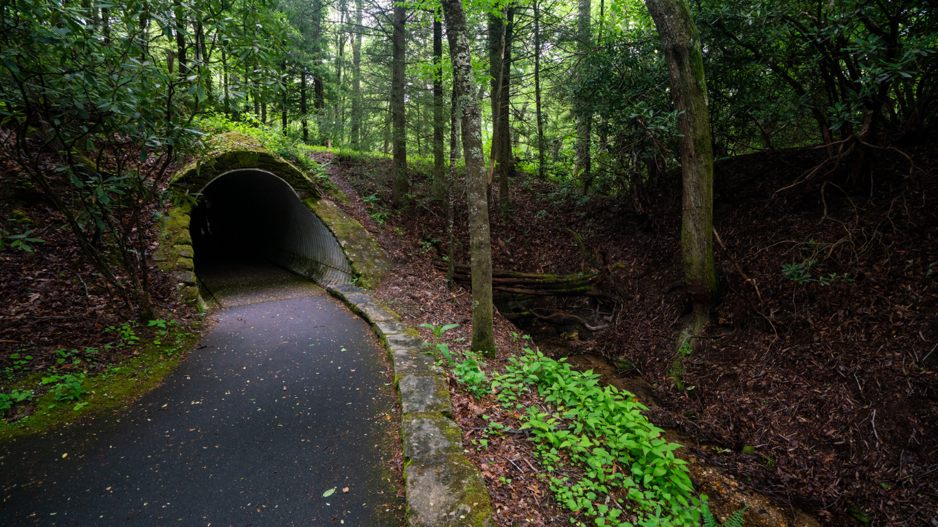 Cradle Trail-explore-brevard