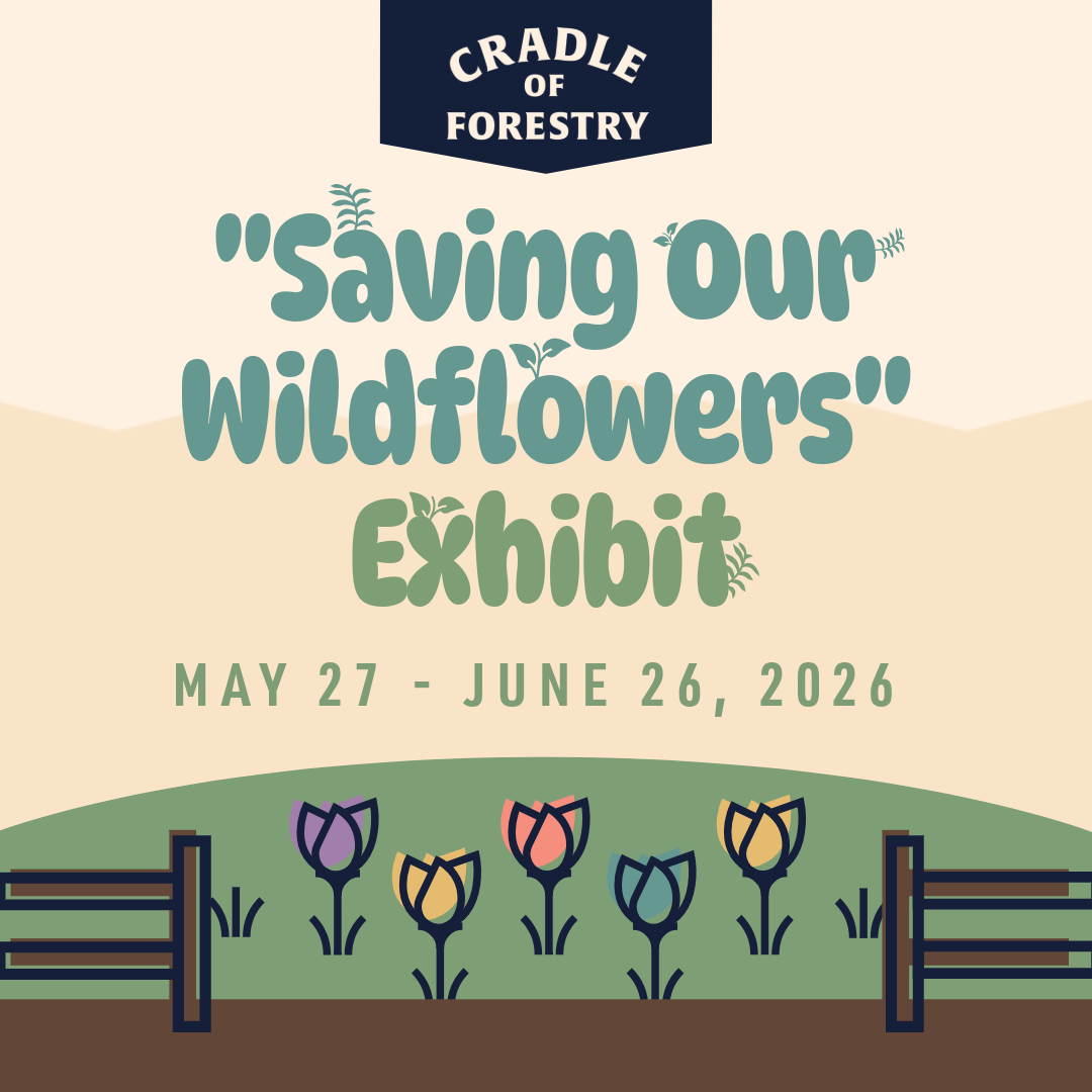 Cradle Wildflower Exhibit 1-explore-brevard
