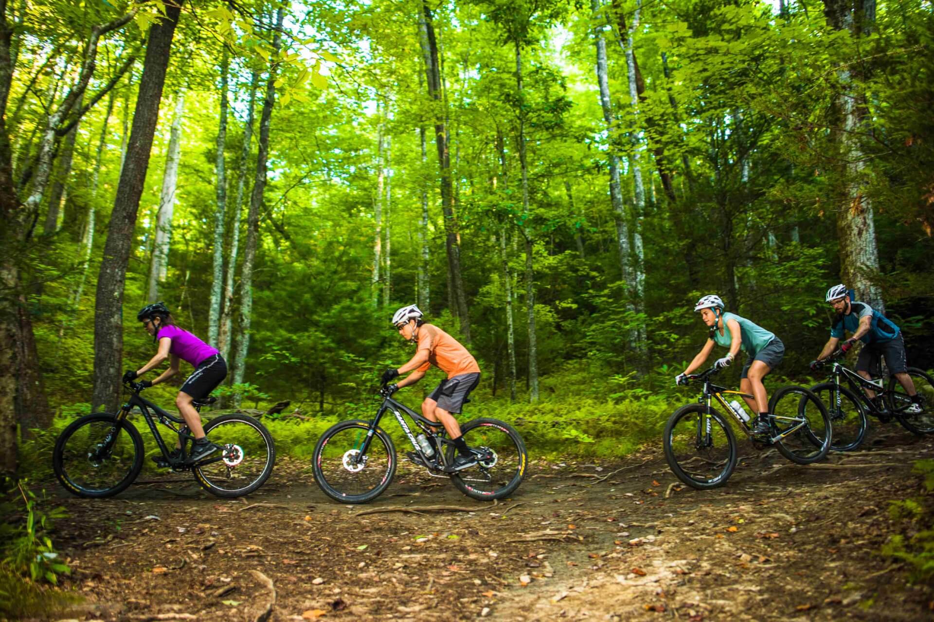 Group mountain biking through the forest in Transylvania County