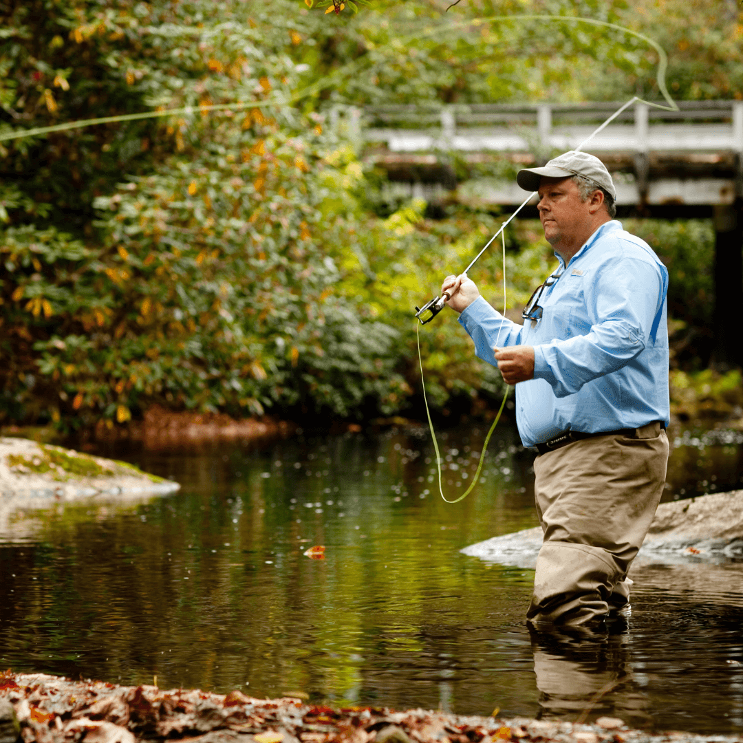 Davidson River