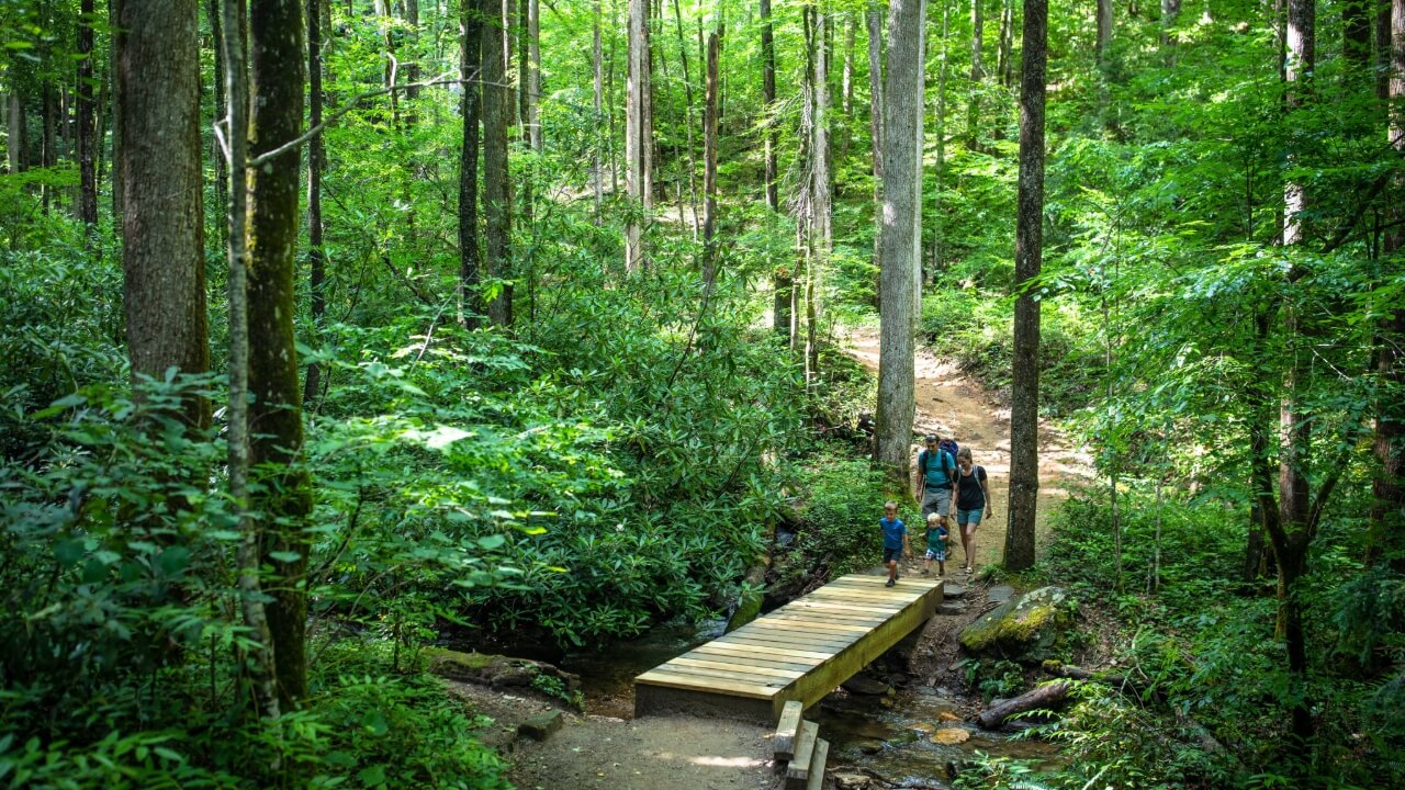 Family hiking on the Moore Cove Falls Trail in Pisgah National Forest