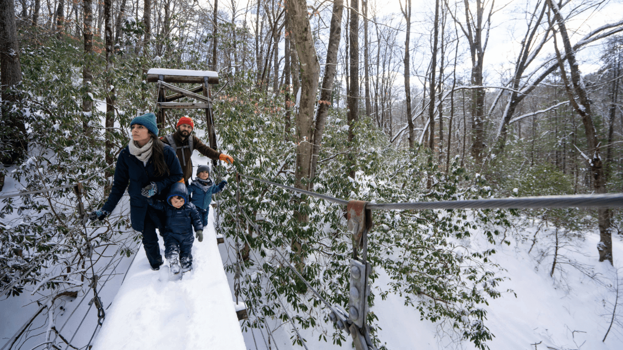 Family walking across the suspension bridge on the Andy Cove Nature Trail in Pisgah National Forest