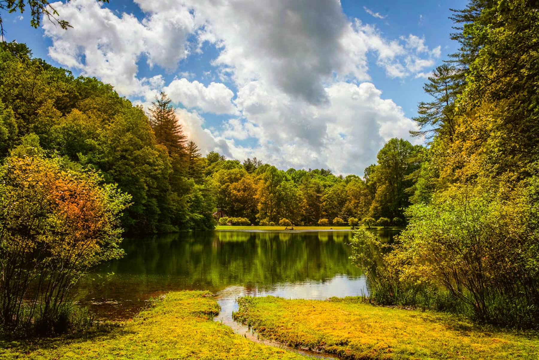 Emerald Lake Fall-explore-brevard