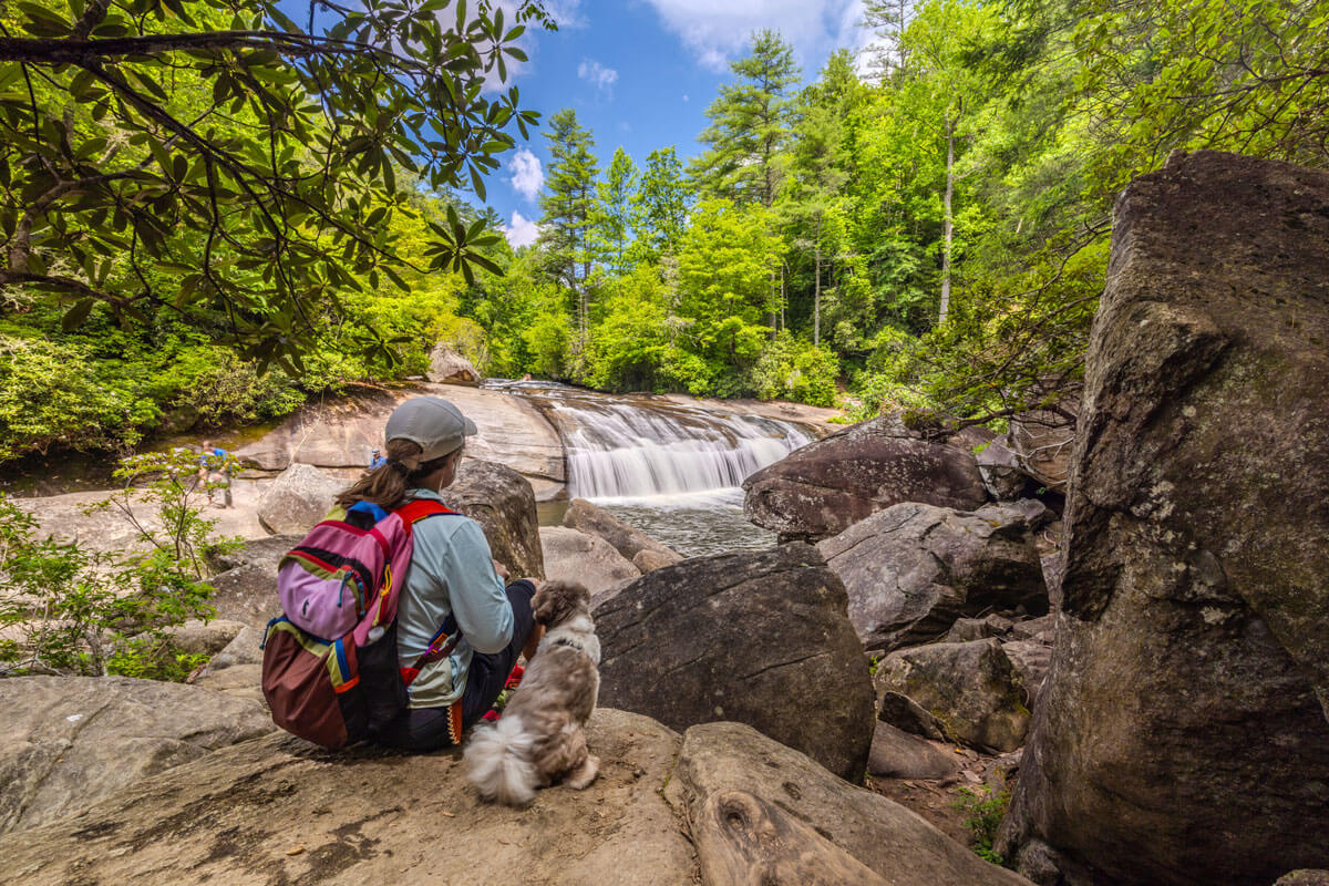 Turtle Back Falls, Brevard, NC