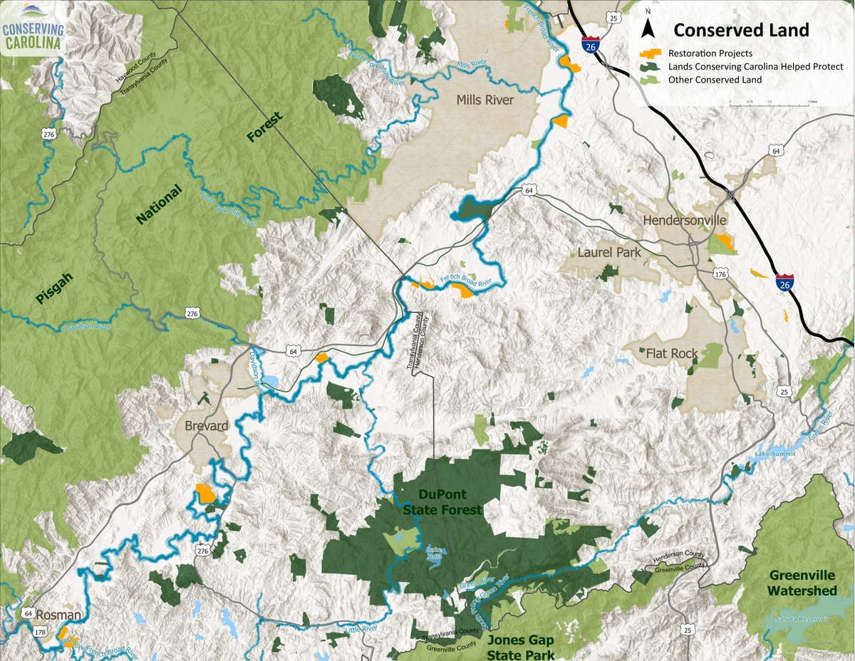 French Broad River Series: LEARN! – An Overview of Conserving Carolina’s French Broad River Restoration Projects