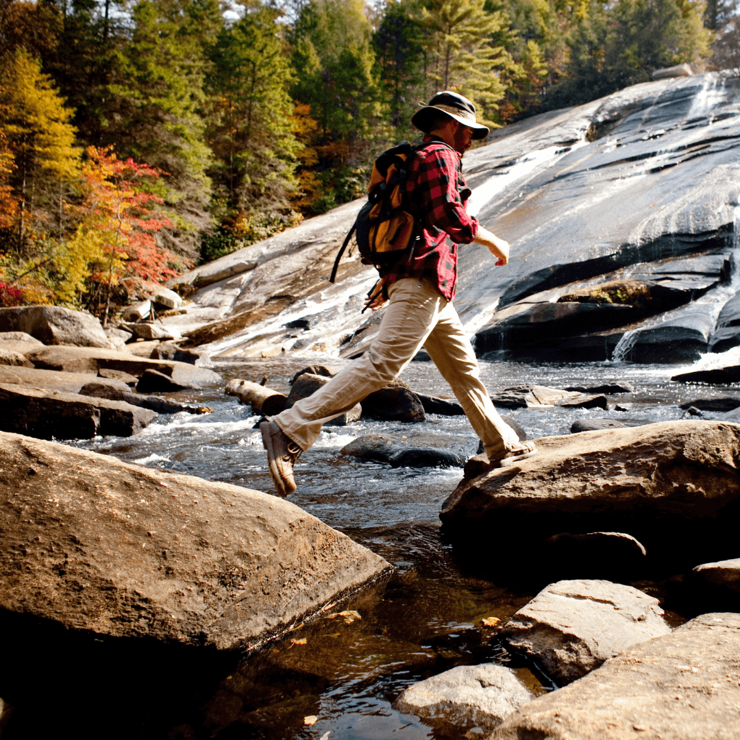 Fall Hike-explore-brevard