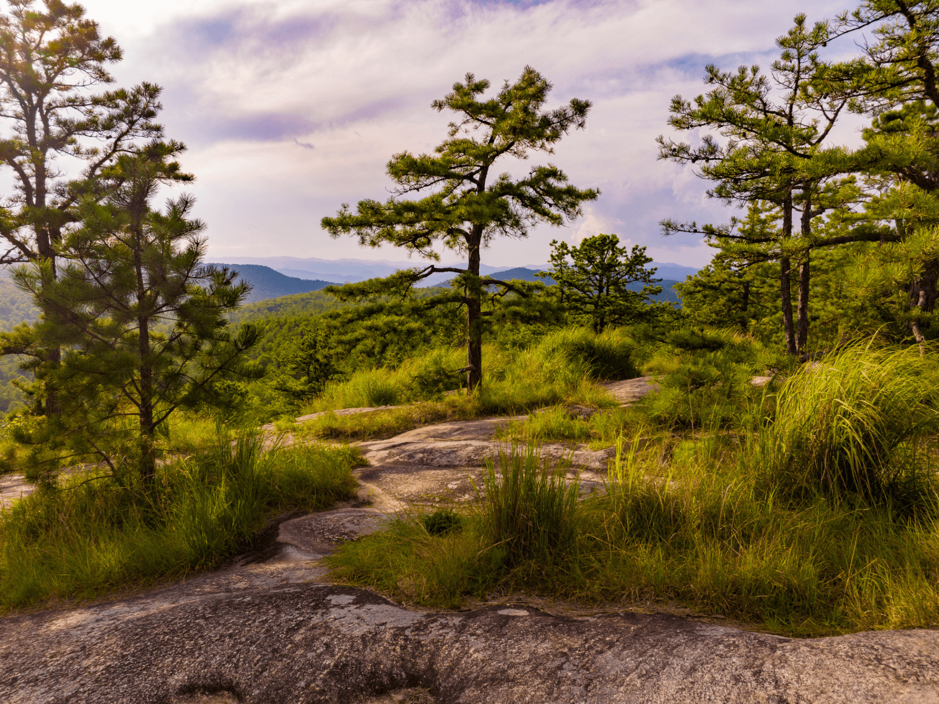 Forests Parks-explore-brevard