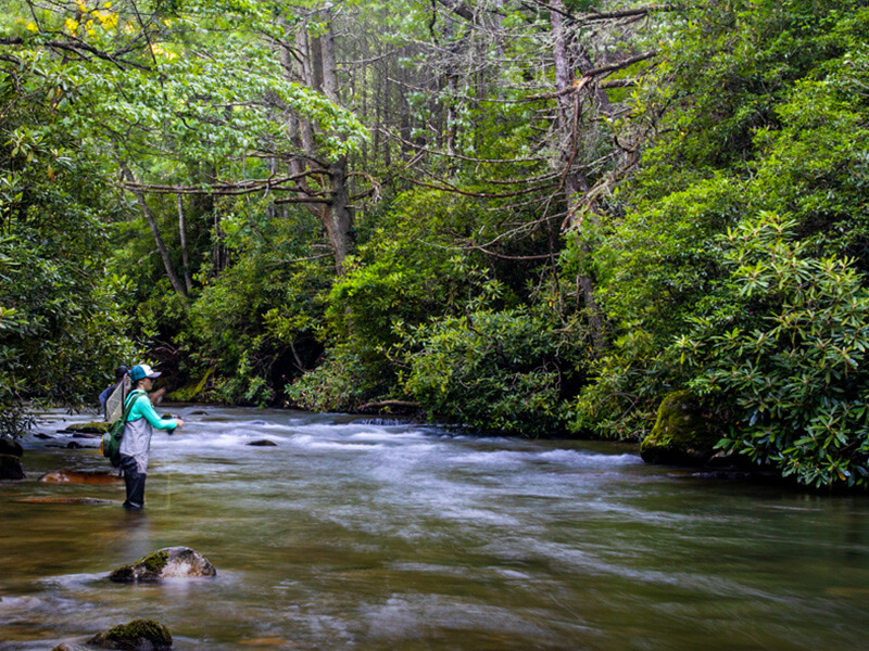 Headwaters EF 800x600 1-explore-brevard