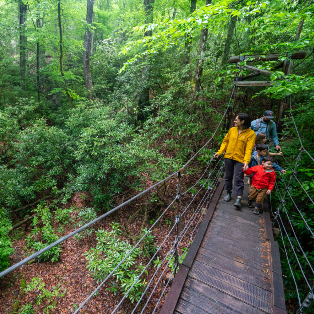 Hiking 1-explore-brevard