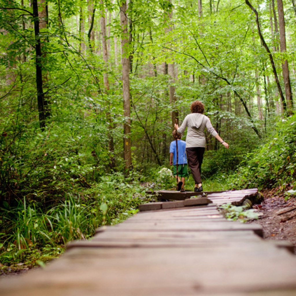 Hiking-explore-brevard