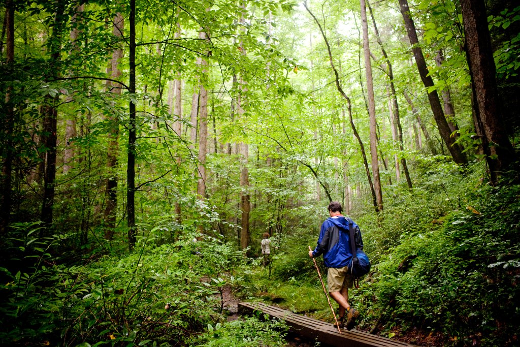 Hiking-explore-brevard