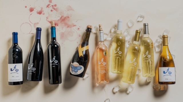 IMG 4003-explore-brevard