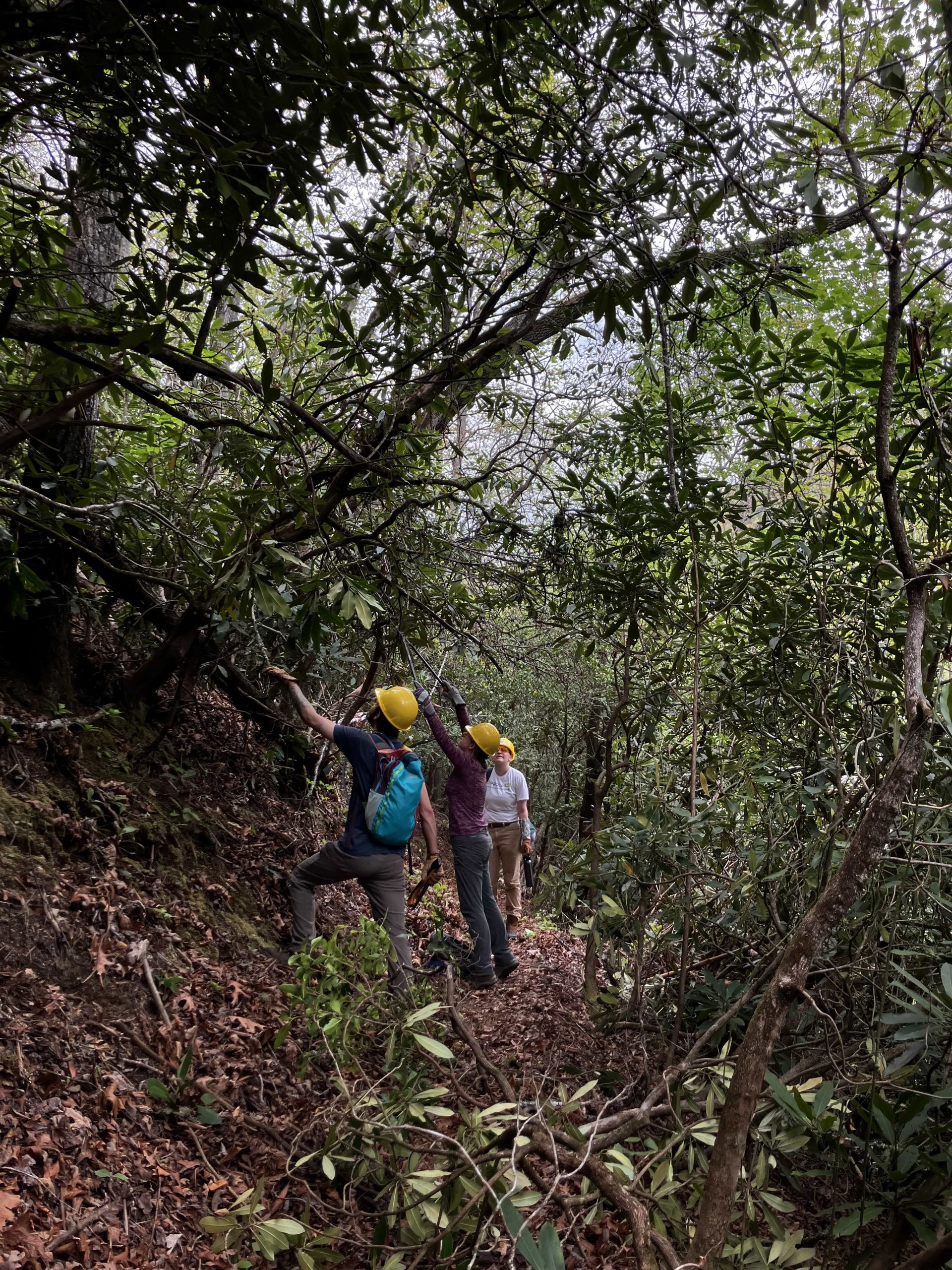 Celebrate National Trails Day on Saturday, June 6th