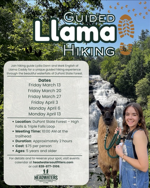 Guided Llama Hiking